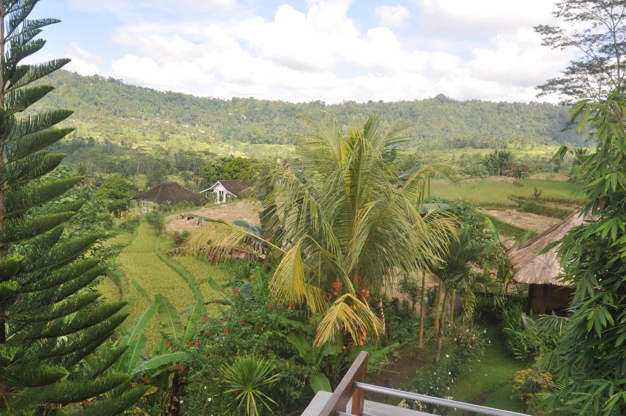 Villa Shantiasa Bali Sidemen  Ngoại thất bức ảnh